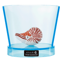 Bikkura Bath Bomb Aquarium Sea Creatures (Blind Box/8), Bandai Lifestyle Bath Bomb (8pc per box) 8
