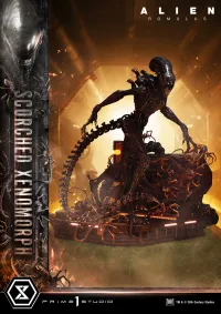 Prime 1 Studio Museum Masterline XL Alien: Romulus Scorched Xenomorph Deluxe Version - Alien (Movie Franchise) - photo 24