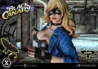 Prime 1 Studio Museum Masterline DC Comics Black Canary EX Bonus Version - DC Comics - photo 42