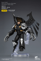 Raven Guard Dark Fury, Chooser of the Slain with Raven's Talon claws 20