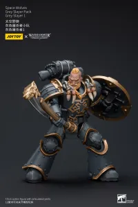 JOYTOY Space Wolves Grey Slayer Pack Grey Slayer 1 - Warhammer 40K - photo 9