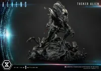 Prime 1 Studio Premium Masterline Aliens (Comics) Tusked Alien Bonus Version - Alien (Movie Franchise) - photo 4