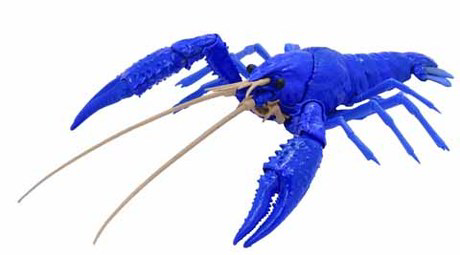 [FI No.24 EX-1]  Biology Edition Crayfish (Blue)