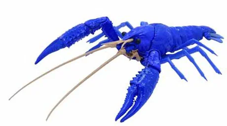 Fujimi [FI No.24 EX-1]  Biology Edition Crayfish (Blue) - Original Series