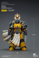 Imperial Fists Librarian Consul with Force Axe and Bolt Pistol 11