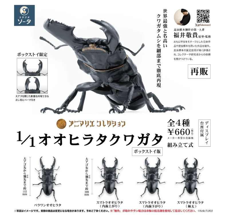 SO-TA Animarie Collection 1/1 Giant Flat Stag Beetle (Box of 4) - Blind Boxes