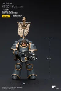 JOYTOY Space Wolves Grey Slayer Pack Grey Slayer With Legion Vexilla - Warhammer 40K - photo 8