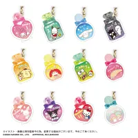 MAX LIMITED SANRIO CHARACTERS BIRTHDAY "PUKKURI" CLEAR KEY RING - Sanrio - photo 13
