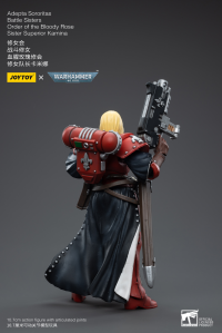 Adepta Sororitas Battle Sisters Order of the Bloody Rose Sister Superior Kamina 3