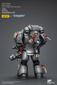 Grey Knights Strike Squad Grey Knight with Psycannon 5