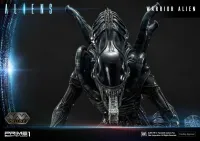 Prime 1 Studio Premium Masterline Aliens (Comics) Warrior Alien DX Bonus Version - Alien (Movie Franchise) - photo 102