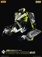 AMTS IB-16 HERMES EVO 11