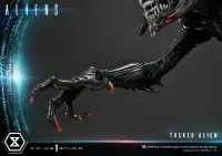 Prime 1 Studio Premium Masterline Aliens (Comics) Tusked Alien Bonus Version - Alien (Movie Franchise) - photo 14