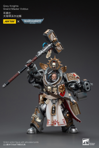 Grey Knights Grand Master Voldus 7