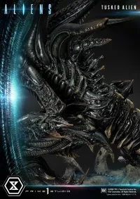 Prime 1 Studio Premium Masterline Aliens (Comics) Tusked Alien Bonus Version - Alien (Movie Franchise) - photo 15