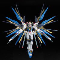 RG 1/144 #14 ZGMF-X20A STRIKE FREEDOM GUNDAM 14