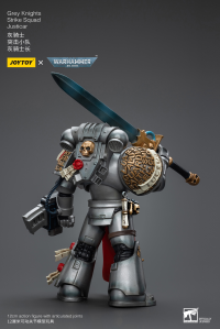 Grey Knights Strike Squad Justicar 6