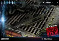 Prime 1 Studio Premium Masterline Aliens (Comics) Warrior Alien DX Bonus Version - Alien (Movie Franchise) - photo 50