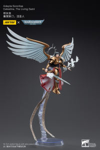 Adepta Sororitas Celestine, The Living Saint 7