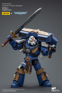 Ultramarines Vanguard Veteran Sergeant 5