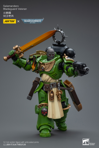 Salamanders Bladeguard Veteran 3