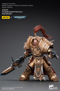 Adeptus Custodes Shield-Captain in Allarus Terminator Armour Hydon Seronis 11