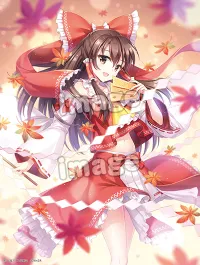 FREEing Reimu Hakurei(re-run) - Touhou Project - photo 12