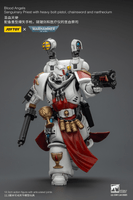 Blood Angels Sanguinary Priest with Heavy bolt pistol, chainsword and narthecium 9