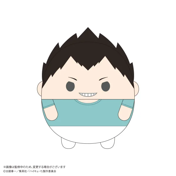 MAX LIMITED Haikyu!! FUWA KORORIN Msize 9  (ITEM C) - Haikyu!!