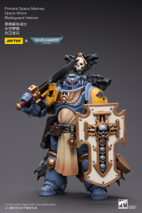 Primaris Space Marines Space Wolves Bladeguard Veteran 3
