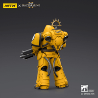 Game Edition Imperial Fists Heavy Intercessor with Heavy Bolt Rifle and Bolt Pistol 2
