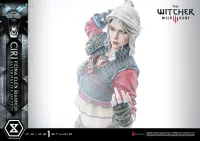 Prime 1 Studio Premium Masterline The Witcher 3: Wild Hunt Ciri Fiona Elen Riannon Alternative Outfit DX Bonus Version - Video Games - photo 2