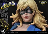 Prime 1 Studio Museum Masterline DC Comics Black Canary EX Bonus Version - DC Comics - photo 44