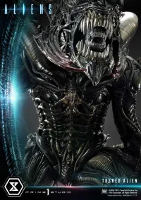 Prime 1 Studio Premium Masterline Aliens (Comics) Tusked Alien Bonus Version - Alien (Movie Franchise) - photo 11