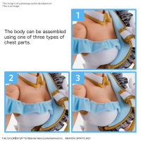 30MS OPTION BODY PARTS BEYOND THE BLUE SKY 1 [COLOR C] 2