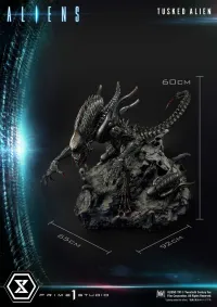 Prime 1 Studio Premium Masterline Aliens (Comics) Tusked Alien Bonus Version - Alien (Movie Franchise) - photo 34