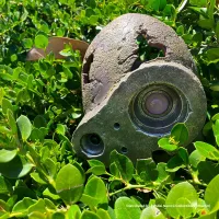 Benelic Castle in the Sky Robot Soldier Planter - Studio Ghibli - photo 4