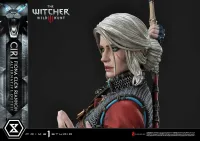 Prime 1 Studio Premium Masterline The Witcher 3: Wild Hunt Ciri Fiona Elen Riannon Alternative Outfit - Video Games - photo 27