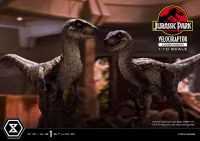 Prime 1 Studio Prime Collectible Figures  Jurassic Park (Film)  Velociraptor  Closed Mouth - Jurassic Park - photo 16
