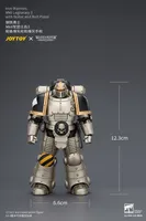 JOYTOY Iron Warriors MkII Legionary3 with Bolter and Bolt Pistol - Warhammer 40K - photo 16