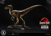Prime 1 Studio Prime Collectible Figures  Jurassic Park (Film)  Velociraptor  Closed Mouth - Jurassic Park - photo 21