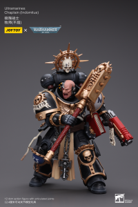 Ultramarines Chaplain(Indomitus) 8