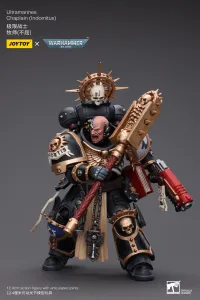 JOYTOY Ultramarines Chaplain(Indomitus) - Warhammer 40K - photo 8