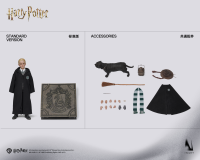 Harry Potter and the Philosopher's Stone - Draco Malfoy 1/6 Collectible Figure 2