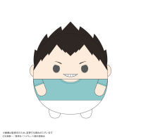 Haikyu!! FUWA KORORIN BIG 9  (ITEM C) 1