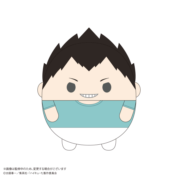 Haikyu!! FUWA KORORIN BIG 9  (ITEM C)