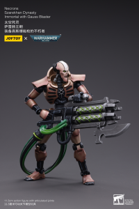 Necrons Szarekhan Dynasty lmmortal with Gauss Blaster [2PCS] 4