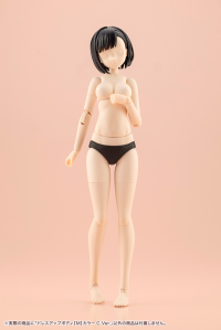 DRESS UP BODY[M] COLOR C Ver. 22