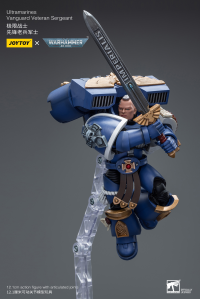 Ultramarines Vanguard Veteran Sergeant 7