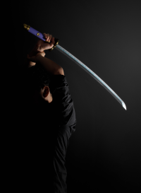 RORONOA ZORO THREE SWORD STYLE set (Wado Ichimonji,Sandai Kitetsu,Enma) "ONE PIECE", TAMASHII NATIONS PROPLICA 28